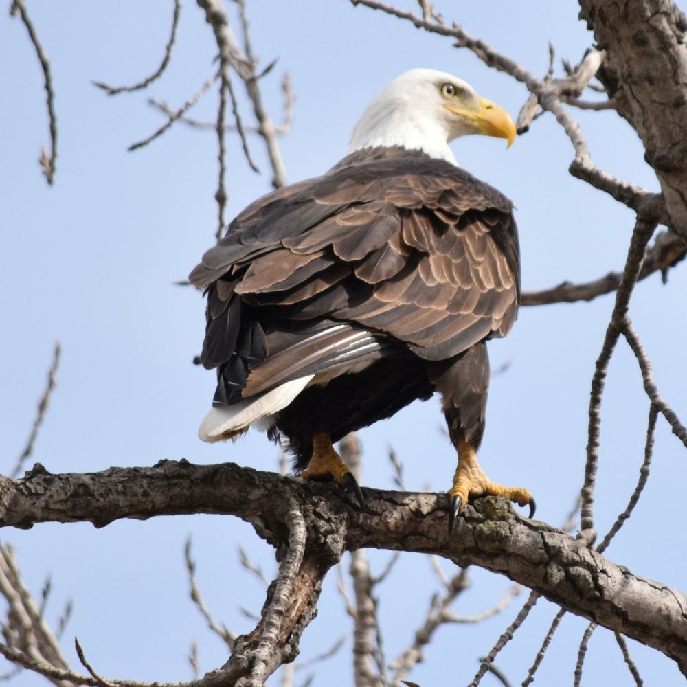 Meet your Posher, Josh